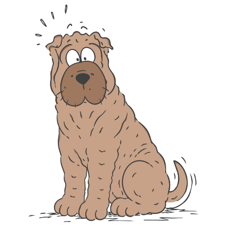 elwood-illustration1