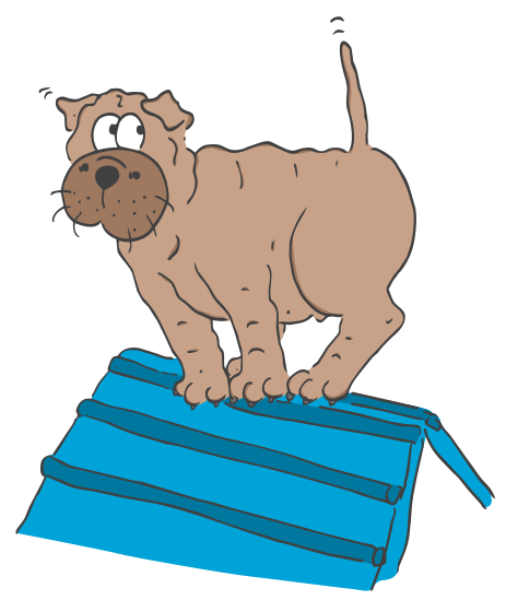 elwood-illustration4